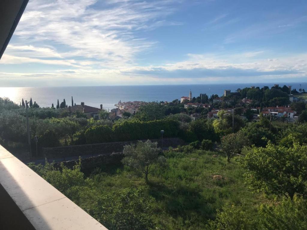 Apartmaji Jelena Piran Exterior foto